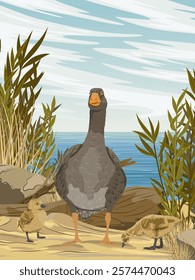 Greylag goose with two goslings standing on sandy river bank. Realistic vector vertical landscape