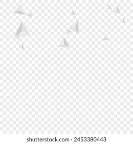 Greyscale Element Background Transparent Vector. Fractal Futuristic Illustration. Hoar Volume Card. Shard Idea. Grizzly Polygon Template.