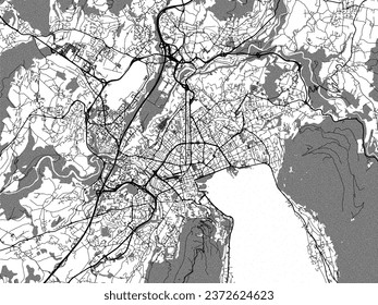 Greyscale vector city map of Annecy in France with with water, fields and parks, and roads on a white background.