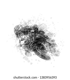 Greyscale vector silhouette of biker