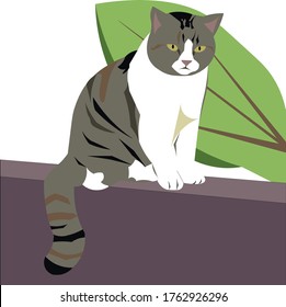 A grey-white fur tomcat sits on the wall with one big leaf behind it.