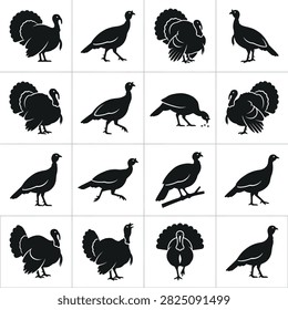 A grid of black silhouettes showcasing turkeys in different postures and actions, highlighting their unique forms.