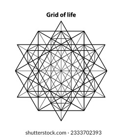 Grid of life. Sacred Geometry Vector Design Elements. This religion, philosophy, and spirituality symbols. the world of geometric mystic mandalas. intricately illustrations.