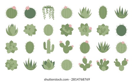 Grid of thirty-six various succulents and cacti featuring green hues and pink flowers for botanical design and natural textures.