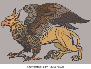 Griffin, griffon, or gryphon, vector illustration. Lion and eagle color combination.