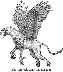 Griffin illustration, drawing, engraving, ink, line art, vector