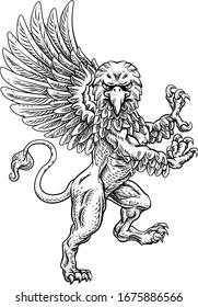 A griffin also known as a gryphon or griffon with lion body, wings and eagle head. Rampant standing on hind legs coat of arms crest mascot 