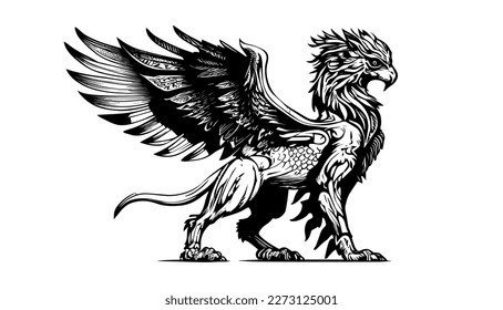 Griffin vector black line illustration isolated white. Sketch art