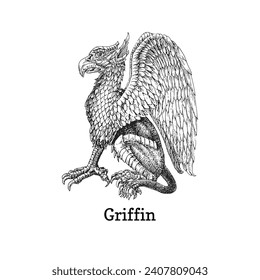 Griffin, ilustración vectorial en estilo de grabado, esbozo dibujado de criatura mística