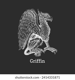 Griffin, vector illustration in engraving style, drawn sketch of mystical creature