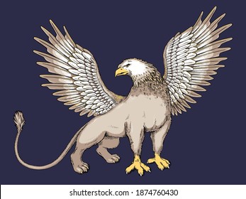  Griffin vector illustration in hand drawn style