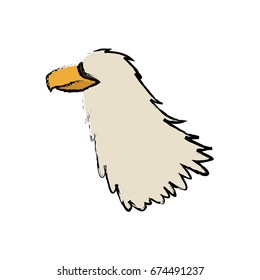 griffo head feather predator animal