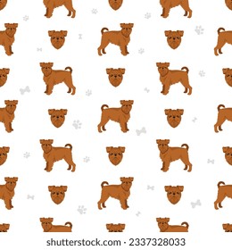 Griffon Belge seamless pattern. Different poses, coat colors set.  Vector illustration