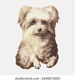 Griffon Bruxelloi dog painting art  illustration isolated on white, vector. 