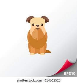 Griffon bruxellois dog icon