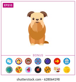 Griffon bruxellois dog icon