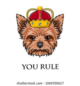Griffon dog king. Crown. Dog portrait. Dog breed. Vector You rule text