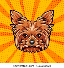 Griffon dog portrait. Dog breed. Dog face head. Vector illustration