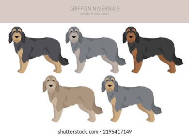 Griffon Nivernais Clipart. Different Coat Colors Set.  Vector Illustration