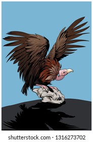 Griffon Vulture and Beast's Skull Illustration