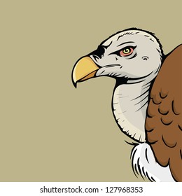 Griffon vulture - vector illustration