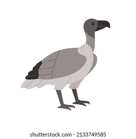 Griffon vulture, wild carnivorous bird. Gray-feathered griffin. African savanna gyps. Savannah inhabitant. Flat vector illustration isolated on white background