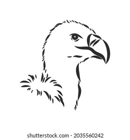 Griffon vulture. Wild forest bird of prey. Hand drawn sketch graphic style. Fashion patch. Print for t-shirt, Tattoo or badges.