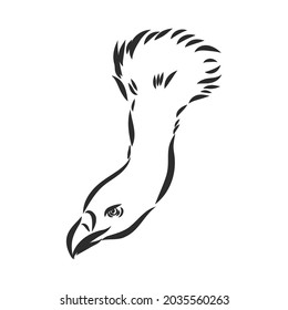 Griffon vulture. Wild forest bird of prey. Hand drawn sketch graphic style. Fashion patch. Print for t-shirt, Tattoo or badges.