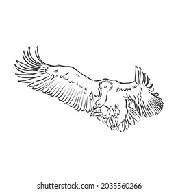 Griffon vulture. Wild forest bird of prey. Hand drawn sketch graphic style. Fashion patch. Print for t-shirt, Tattoo or badges.