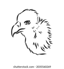 Griffon vulture. Wild forest bird of prey. Hand drawn sketch graphic style. Fashion patch. Print for t-shirt, Tattoo or badges.