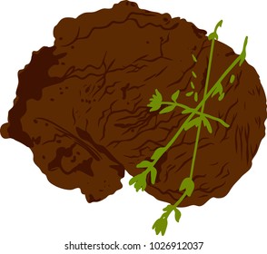 grilled beef steak with herbs in vector