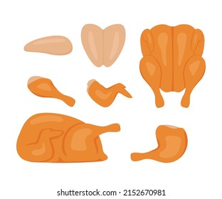 Grilled brown chicken meat, food cartoon set. Whole fried chicken with hen leg, wing and fillet. Grill meat roast. Cooked piece chick. Vector illustration