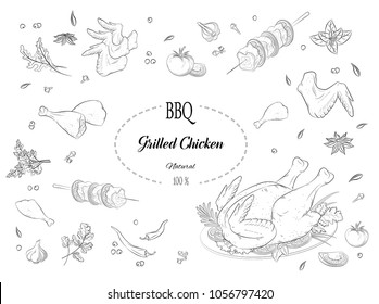 Grilled chicken, meat, barbecue, spices and herbs . Fresh chicken meat. Chicken, leg, thigh, wing.  Isolated black outline. Vector illustration