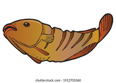 grilled fish vector illustration,
isolated on white background.Animals top view