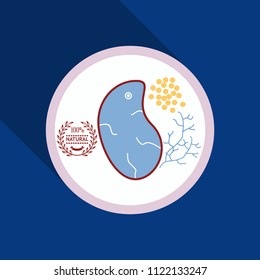Grilled meat steak , herb on white dish in flat icon style