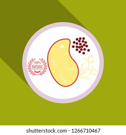 Grilled meat steak , herb on white dish in flat icon style