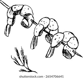 Espetos de camarão grelhados com ervas em um fundo branco simples  