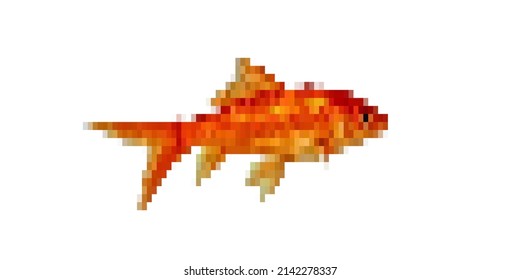 grilled spicy fish isolated on white background, top view