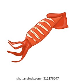 Grilled squid isolated illustration on white background