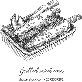 Grilled sweet corn with white mexican sauce, chilli and lime Engraved Image. Sketchy hand-drawn vector illustration.