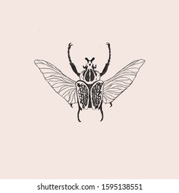 
grim beetles and vector cool