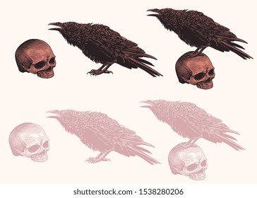 A grim Raven croaks sitting on a skull. Design set. Hand drawn engraving. Editable vector vintage illustration. Isolated on light background. 8 EPS
