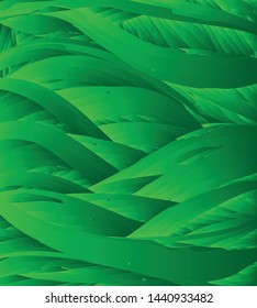 gringe petals abstract background,texture dark green color 
