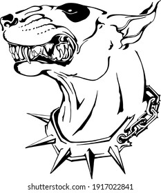 A grinning bull terrier in a spiked collar.