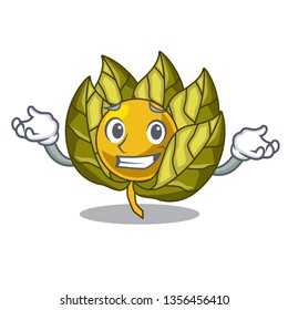 Grinning physalis fruit in the mascot fridge