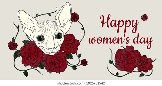 Gritting card for women`s day with sphinx cat.