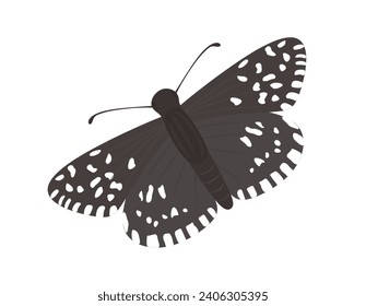 Grizzled Skipper butterfly flying. Hand drawn exotic butterfly with beautiful wings isolated. Tropical moth in detailed style. Gorgeous exotic pretty insect top view. Colored flat vector illustration