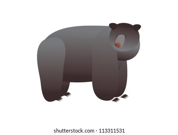 Grizzly Bear
