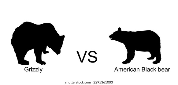 Grizzly bear against American black bear vector silhouette illustration isolated on white background. Angry beast animal battle for domination. Strong powerful bear fight for territory and food. 