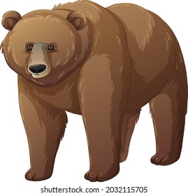 Grizzly bear animal on white background illustration